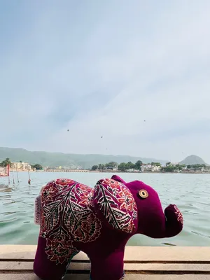 🐘 Ella the Elephant
